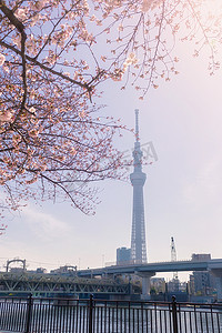 东京晴空塔