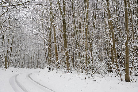 英国肯特郡白雪覆盖的乡村景象。