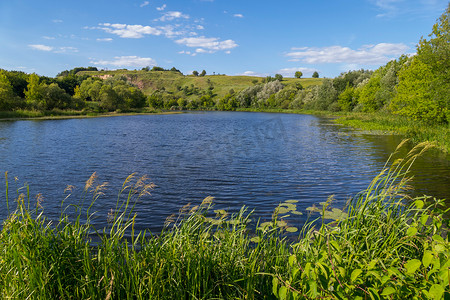 绿色山丘背景下蓝色透明池塘海岸的绿色芦苇