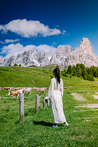 来自 Baita Segantini - Passo Rolle 意大利的 Pale di San Martino，意大利北部白云岩 Pale di San Martino 群最著名的山峰 Cimon della Pala 的景色