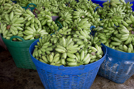 西红柿树摄影照片_篮子里的许多绿色香蕉准备在市场上出售