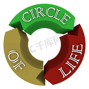 循环中显示连接的生命循环箭头