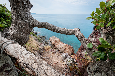 Laem Sing 山风景点的树枝和海洋景观