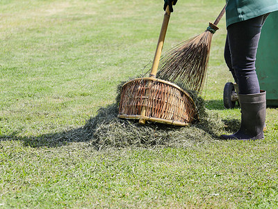 园丁在修剪草坪后使用天然扫帚和簸箕清扫草叶