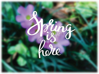 你好三月摄影照片_明亮的春天背景和你好春天文本。