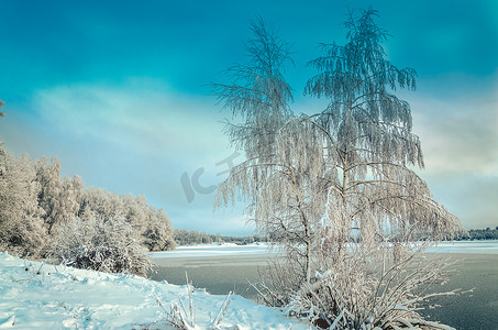 冬季景观与树木，覆盖着白霜和湖景