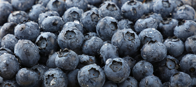 蓝莓落摄影照片_新鲜洗蓝莓的背景特写