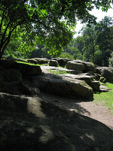 在晴朗的夏日，大量光滑的巨石躺在多枝树荫下的空地上。