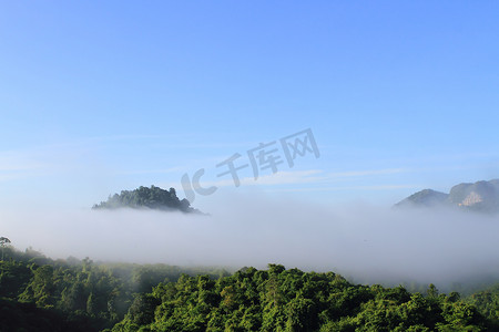 大气森林摄影照片_“在山的大气早晨，泰国”