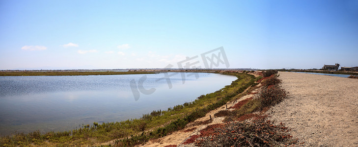 祥和摄影照片_沿着 Bolsa Chica wetlan 宁静祥和的沼泽小径