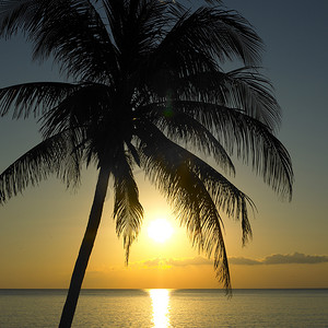 达比摄影照片_在加勒比海，玛丽亚拉戈达，比那尔德里奥省的日落