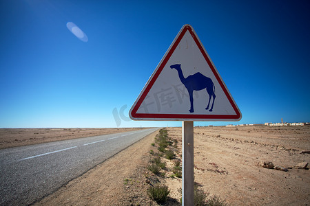 骆驼横穿标志
