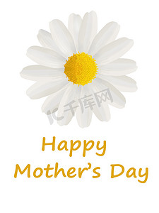 母亲节给妈妈摄影照片_用白色雏菊给妈妈的母亲节贺卡