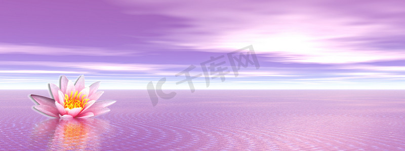 紫色海洋中的百合花