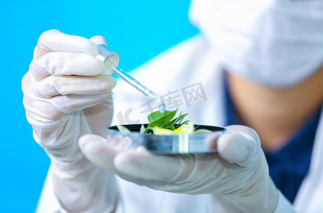 天然有机植物学和科学玻璃器皿生化专家实验、替代草药、天然护肤美容产品、研发理念