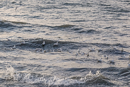 波浪形壁纸摄影照片_背景和壁纸的自然波浪海景