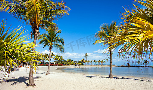 海滩之旅摄影照片_美国佛罗里达州迈阿密的圆形海滩