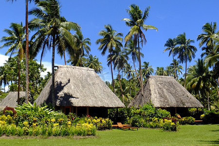 茅草瓦摄影照片_斐济 Vanua Levu 岛的传统茅草屋顶