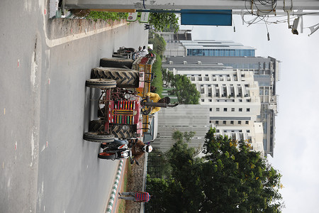 城市道路上的山羊