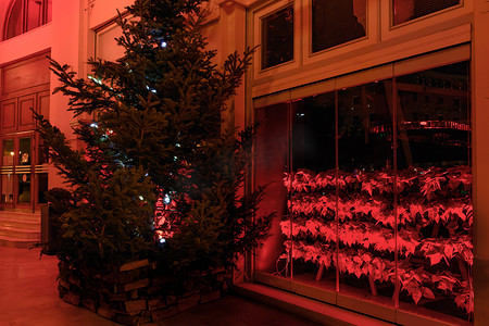塞萨洛尼基，希腊关闭的商店，有圣诞装饰橱窗。