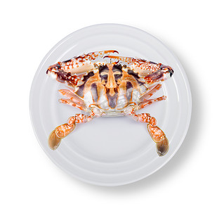 白色锯齿摄影照片_白色背景盘子里的螃蟹