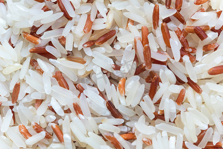 混合白米和糙米
