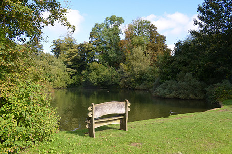 村庄池塘边的木凳。
