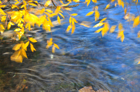有风的摄影照片_有风的秋叶在河流背景上的运动