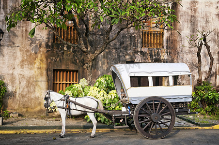 Horse Drawn Calesa，马尼拉 - 菲律宾