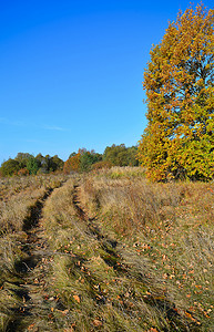 秋天草地上的土路