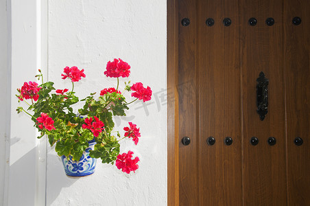 有红色花的花盆在白色墙壁和木门上