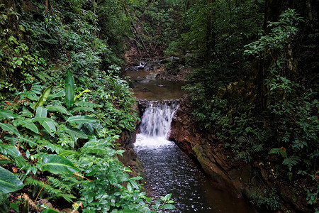 Curi Cancha 保护区内的河流，Monteverde