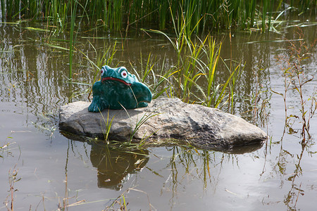 保护沼泽的陶瓷青蛙