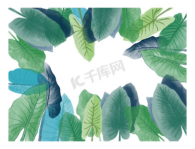 水彩背景与热带树叶绘图框架边框
