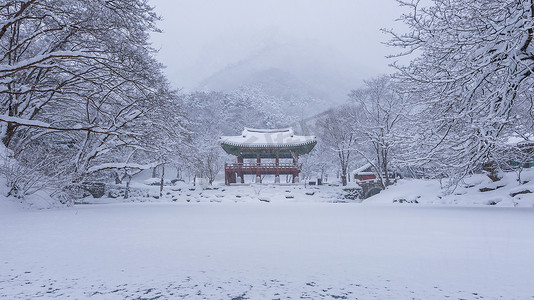 Baekyangsa 寺和落雪，冬天的 Naejangsan 山有雪，韩国的名山。冬季景观。