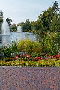 在池塘喷泉的背景下，公园里的瓷砖小径旁边的花坛里生长着美丽的花朵。