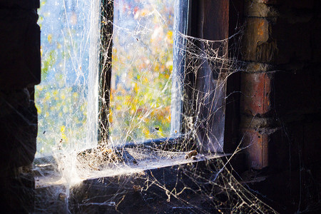 蜘蛛网房间摄影照片_旧窗户和周围的蜘蛛网