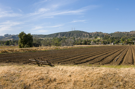 加利福尼亚州卡马里奥的农田