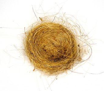 鸟巢国画摄影照片_由草和头发编织而成的独立鸟巢