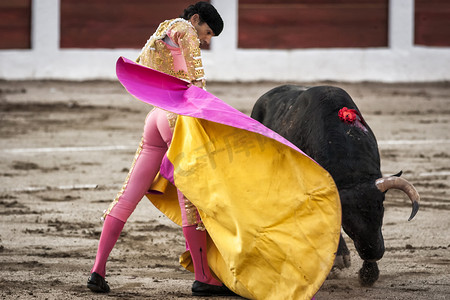 600乘800摄影照片_西班牙斗牛士 Manuel Jesus El Cid 在利纳雷斯举行的斗牛比赛中与近 600 公斤的黑灰公牛斗牛
