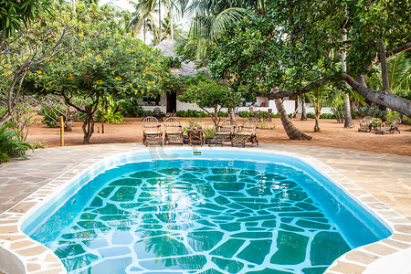 非洲花园游泳池