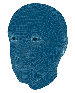 人头的线框 3D 渲染