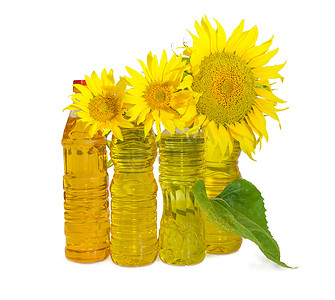 收获日摄影照片_不同的向日葵油和向日葵花