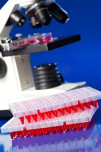 孔板摄影照片_实验室桌上的 96 孔板与红色液体样品