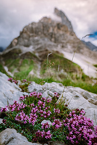 来自 Baita Segantini - Passo Rolle 意大利的 Pale di San Martino，意大利北部白云岩 Pale di San Martino 群最著名的山峰 Cimon della Pala 的景色