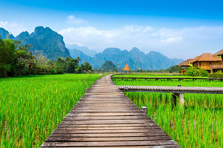 王维田园乐摄影照片_老挝万荣的木栈道和绿色稻田。