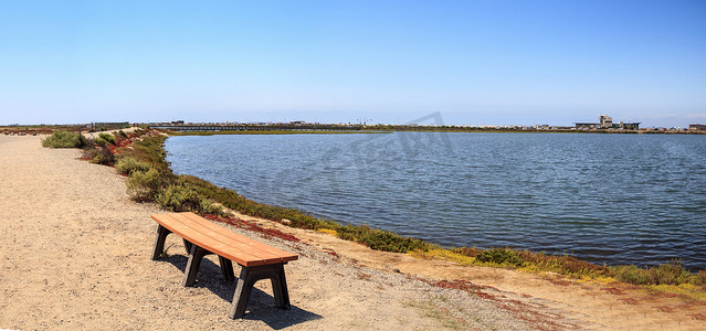 俯瞰 Bolsa Chica 宁静祥和的沼泽的长凳