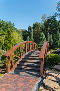 公园木桥与针叶林和落叶林的美丽景观设计