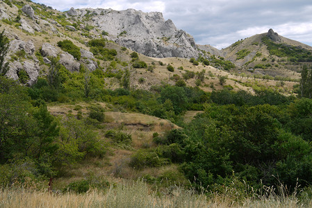 小山脚下的区域覆盖着稀有的灌木和矮小的树木。