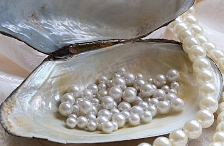 珍珠首饰摄影照片_牡蛎和珍珠